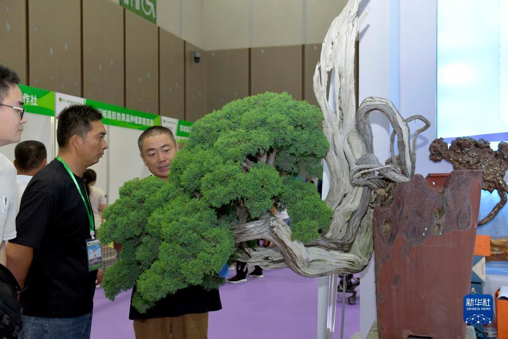 兴动互娱平台